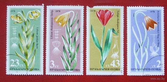 Болгария. Цветы. ( 4 марки ) 1978 года. 8-15.