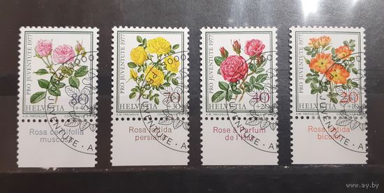 Швейцария. 1977 год. Флора. Цветы. Розы (308)