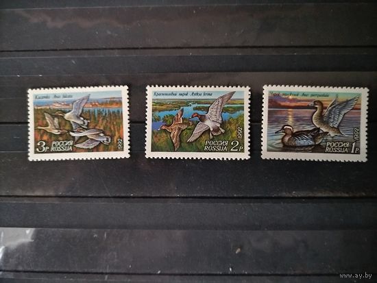 Россия 1992г. Утки.