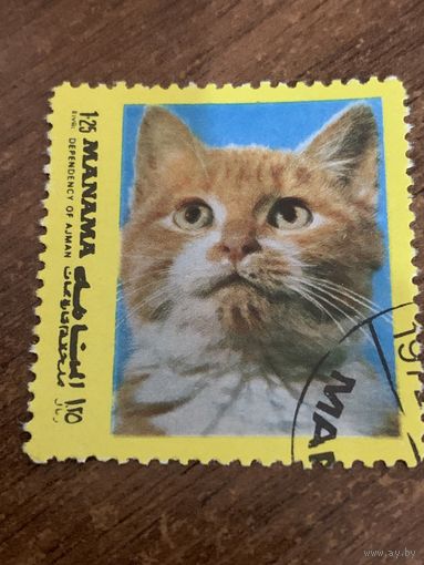 ОАЭ 1972. Манама. Домашние кошки. Марка из серии