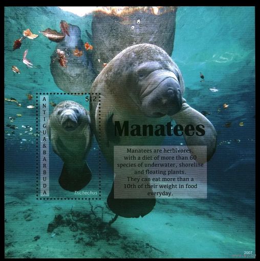 2020 Антигуа и Барбуда 5845/B811 Морская фауна - Ламантины 11,00 евро
