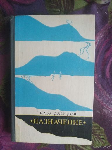 Давыдов Илья, Назначение, военная проза