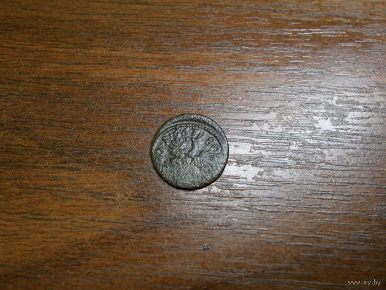 Боратинка 1661