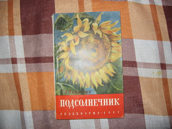 Подсолнечник (1957 год)
