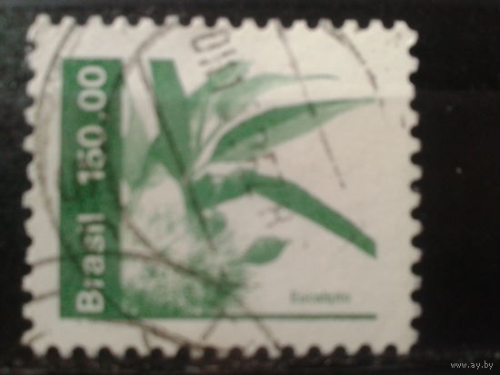 Бразилия 1984 Стандарт, эвкалипт 150,00