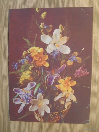 ПОДПИСАННАЯ ОТКРЫТКА. СССР. КОМПОЗИЦИЯ ИЗ ЦВЕТОВ. фото. П. КОСТЕНКО. 1988 г.
