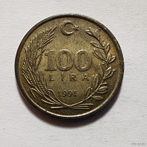 Турция 100 лир, 1991