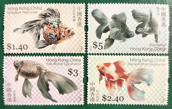 Китай 2005. Гонк Конг. Фауна. Прудовые декоративные рыбы