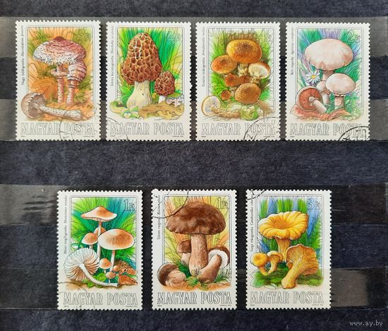 Венгрия 1984г. Серия из 7 марок. Грибы. гаш.