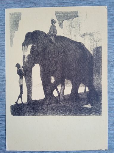 1959. Ватагин. Раскраска слона