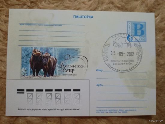 СГ Беларусь. 2012. Беловежская пуща. Зубр