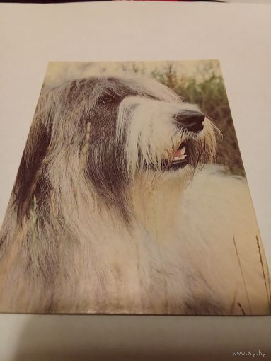 Календарик 1994г.