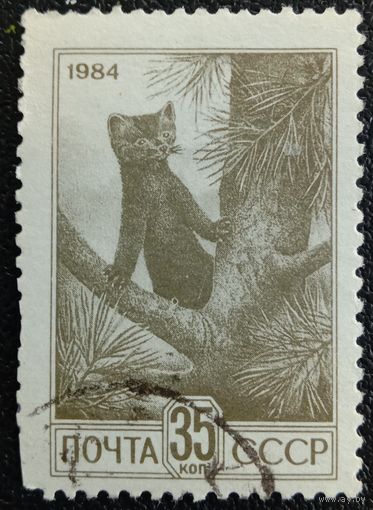 Марка СССР 1984