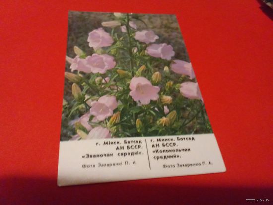 Календарик 1988г.