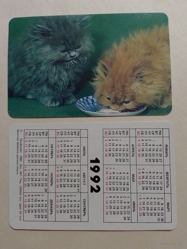 Карманный календарик. Котики.1992 год