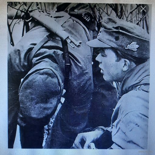 " Дубовые листья"-кокарда немецких егерей