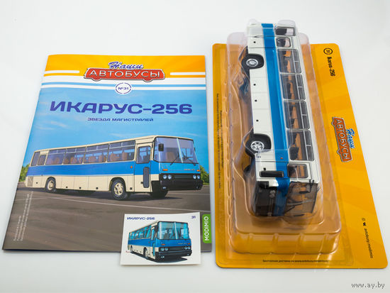 Наши Автобусы 31, Икарус-256 Звезда магистралей