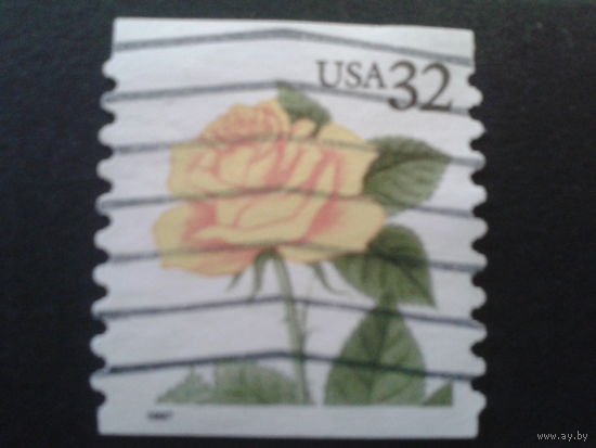 США 1997 стандарт, роза