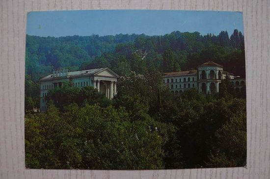 Сочи. Хоста; 1982, чистая.
