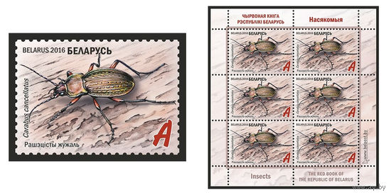 2016 БЕЛАРУСЬ   марка или малый лист "Решетчатая жужелица" MNH