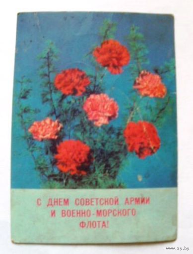 Открытка 1989 (65)