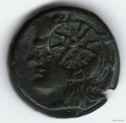Пантикапей Тетрахалк ЛС - Голова безбородого Сатира влево. Надчекан в виде звезды III век до Н.Э.