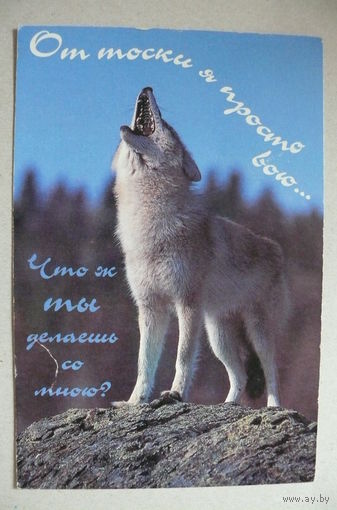 Открытка современная (09), двойная, чистая.