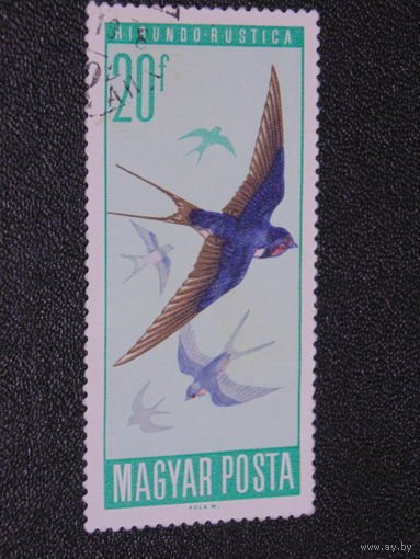 Венгрия 1966 г. Ласточка.