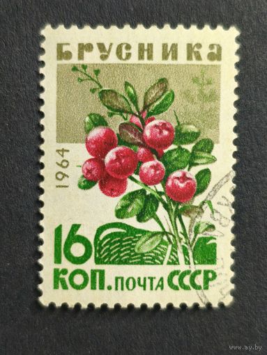 1964 СССР. Ягоды. Брусника