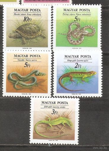 ФФ1 Венгрия 1989 Земноводные