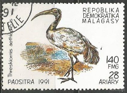 Республика Мадагаскар. Птицы. Священный Ибис. 1991г. Mi#1333.