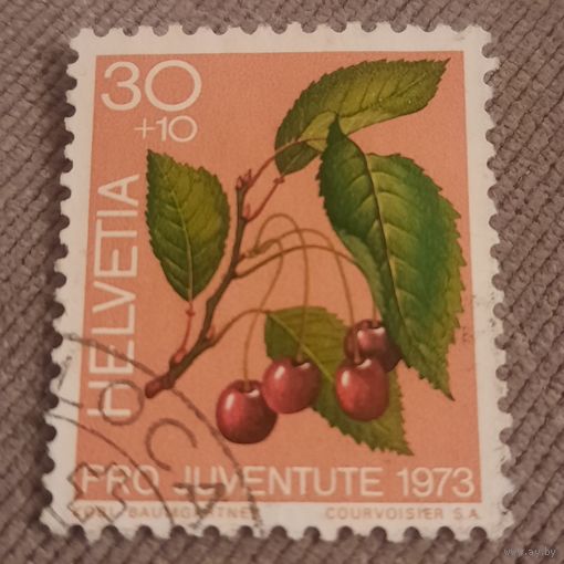 Швейцария 1973. Ягоды вишни