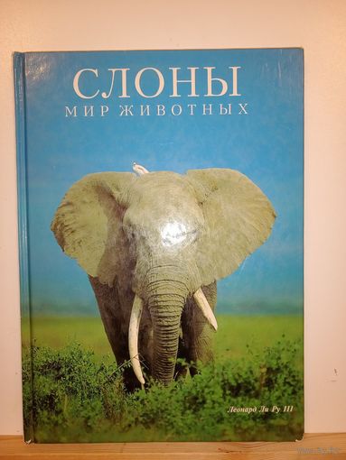 Слоны Мир животных