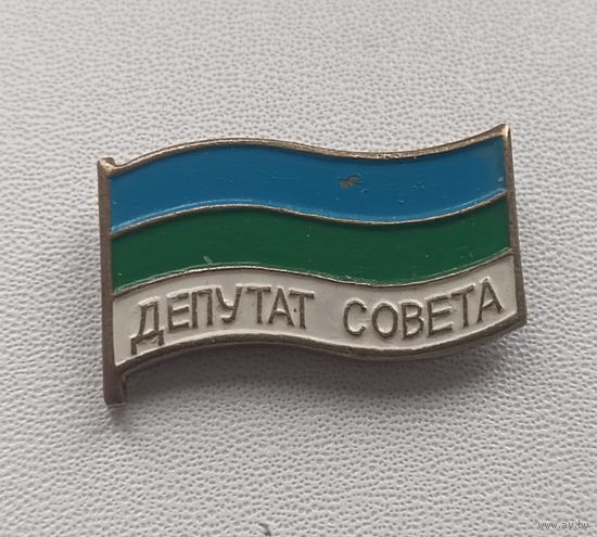 Депутат Совета-Республики Коми