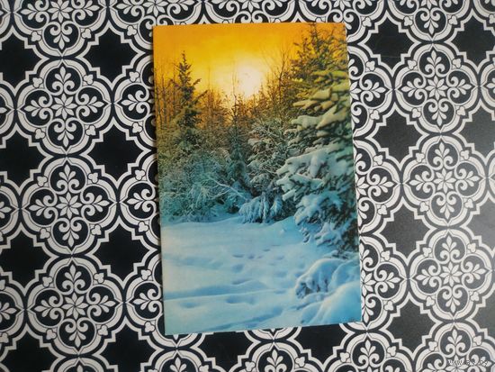 Открытка СССР 1974 год. Чистая. Г.Костенко. Состояние на скане.