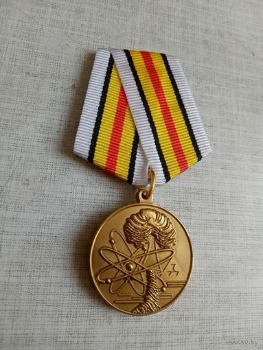 Медаль. Ветерану подразделений особого риска. (3 разновидность).