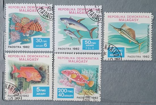 Мадагаскар рыбы 5шт