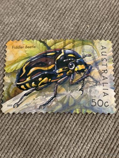 Австралия 2003. Жуки. Fiddler beetle. Марка из серии