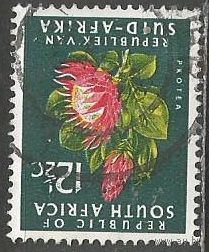 Южная Африка(Республика). Цветы. Протея артишоковая. 1964г. Mi#375.