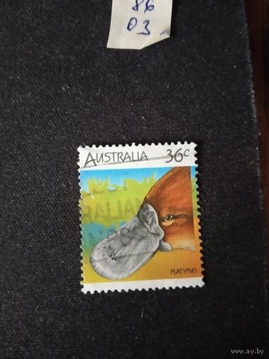 Австралия  1986 утконос