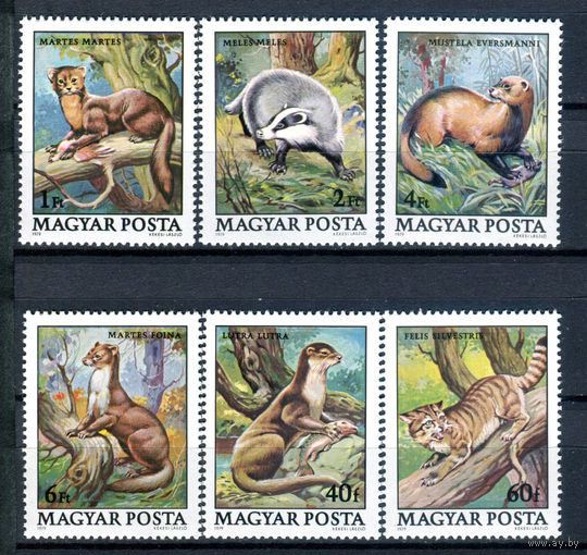 Венгрия - 1979г. - Животные - полная серия, MNH, 1 марка с отпечатком на клее, 1 с полосами на клее [Mi 3384-3389] - 6 марок