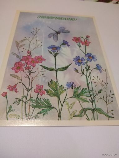 Открытка 1987г. Чистая. Художник И. Канканян.