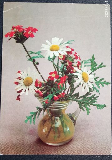 Открытка Букет с ромашками, 1983