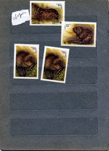 Беларусь, 1995,  Бобры,  сборный л по 25 коп шт 4м