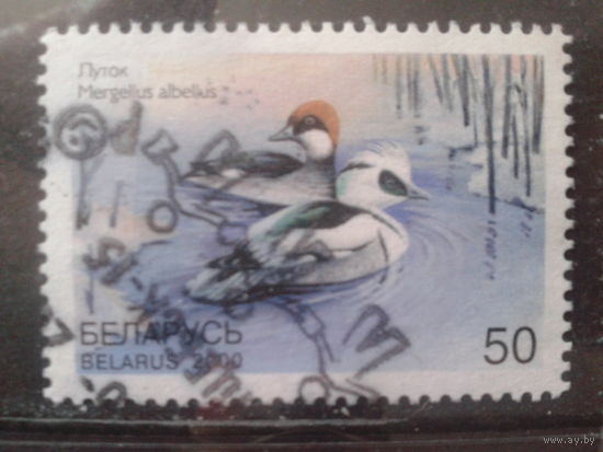 2000 Утки