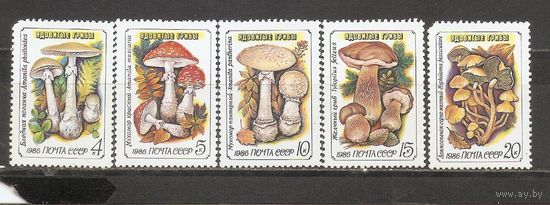 ФФ1 СССР 1986 Ядовитые грибы