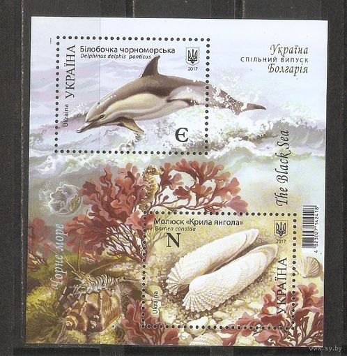ФФ1 Украина 2017 Дельфин