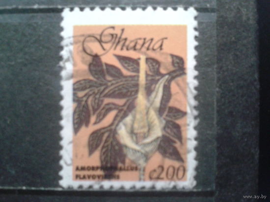 Гана, 1991. Цветок- Аморфофаллус. Mi-3,4 евро гаш.