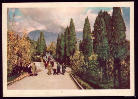 1959 год Ялта Уголок Приморского парка