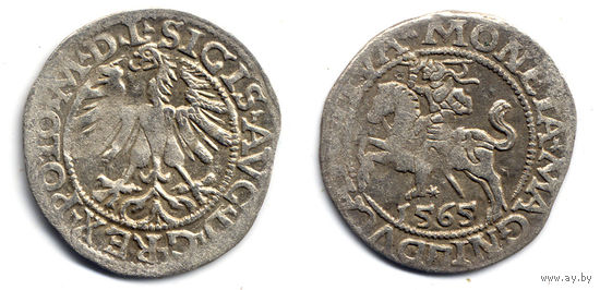 Полугрош 1565, Жигимонт Август, Вильно. Окончания легенд: Ав - L, Рв - LITVA